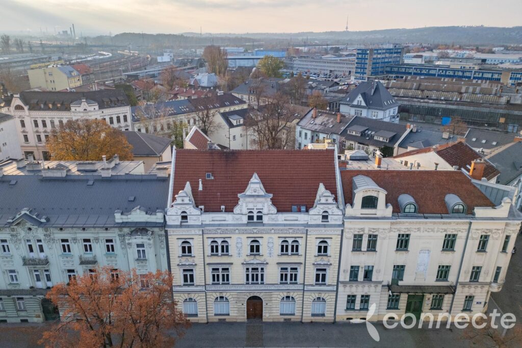 dron 1